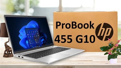 HP ProBook 455 G10